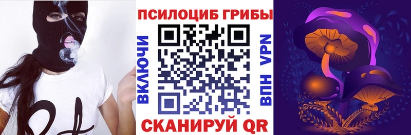 как найти закладки  Сухой Лог  MEGA   Псилоцибиновые грибы Magic Shrooms 