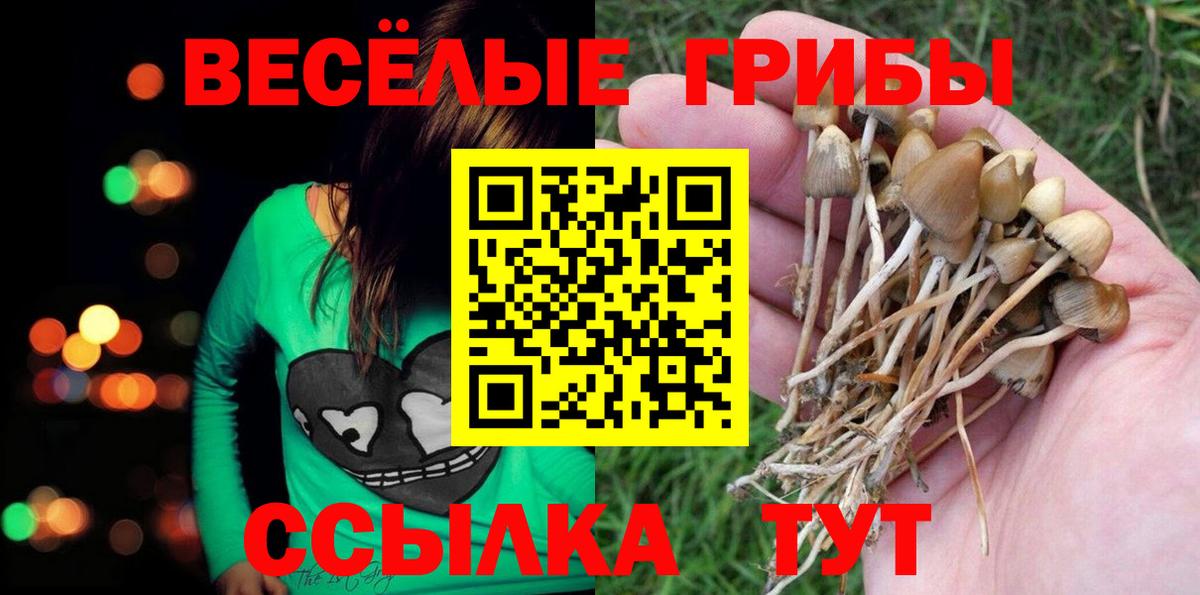 ГАШ  Сухой Лог  ГАШ  Вход с VPN  Магазин наркотиков  Меф   А ПВП СОЛЬ   LSD-25 