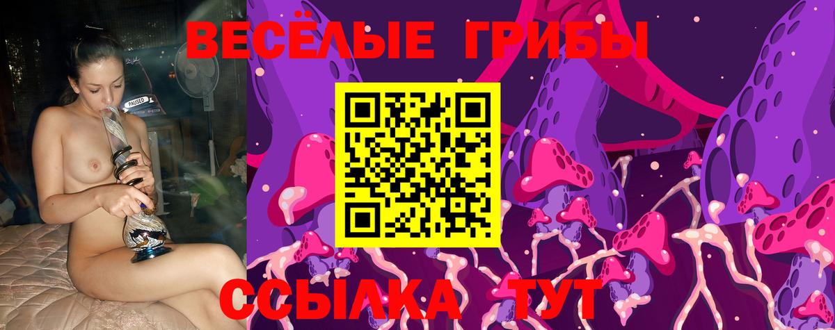 Псилоцибиновые грибы мухоморы  Вход с VPN  Сухой Лог 
